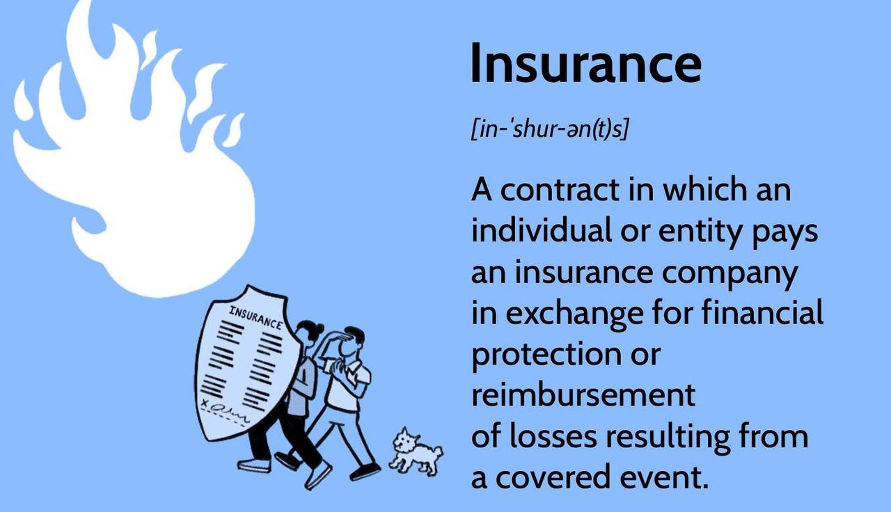 Understanding the Basics: Types of Insurance Explained